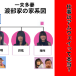 【図解】一夫多妻制で話題の渡部竜太と4人の妻と子供の家系図！仕事はアムウェイって本当？