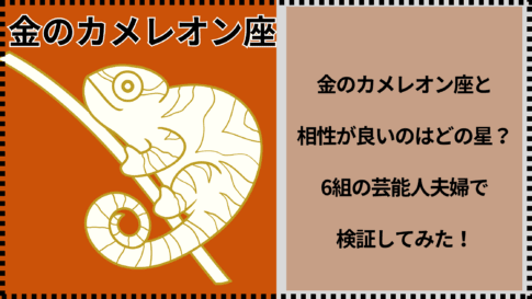 金のカメレオン座と相性が良いのはどの星？6組の芸能人夫婦で検証してみた！