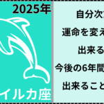 2025年銀のイルカ座は自分次第で今後の6年を変えられる1年