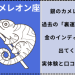 銀のカメレオン座過去の「裏運気の年」は裏の星、金のインディアン座が出てくる？実体験と口コミまとめ！