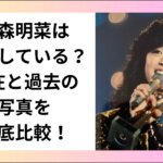中森明菜は整形している？現在と過去の写真を徹底比較！