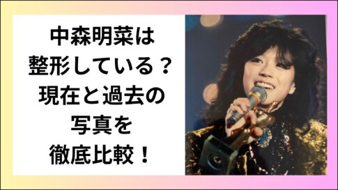 中森明菜は整形している？現在と過去の写真を徹底比較！