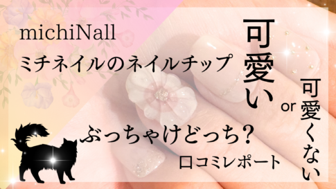 ミチネイルのネイルチップ口コミレポート
